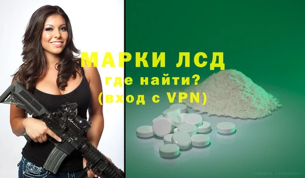 хмурый Арсеньев