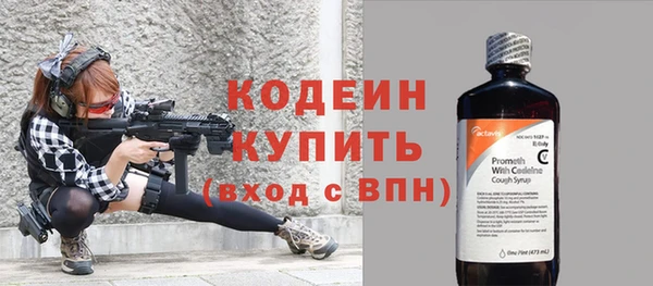 хмурый Арсеньев