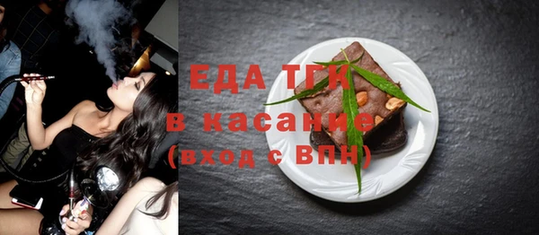 хмурый Арсеньев