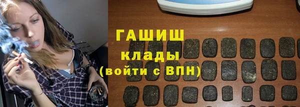 хмурый Арсеньев