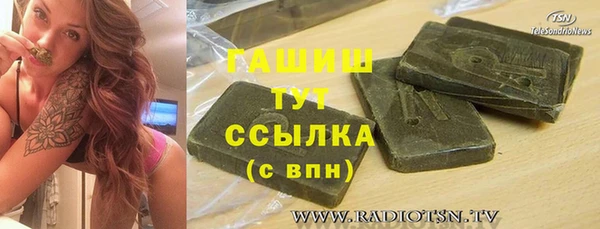 хмурый Арсеньев