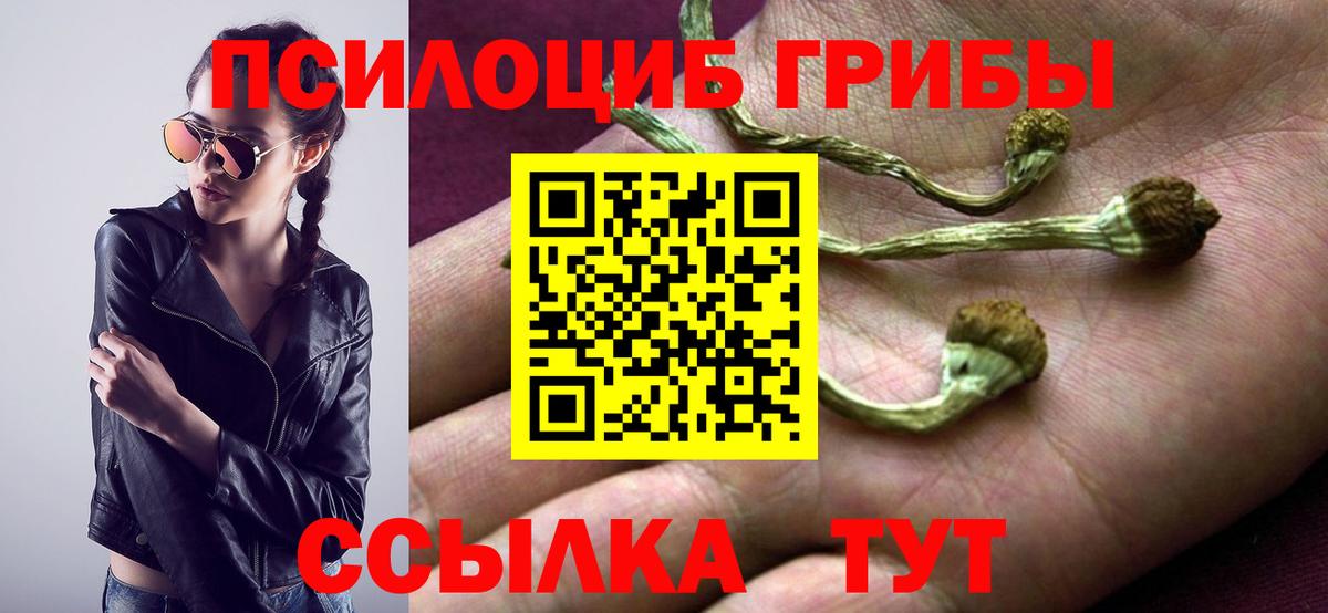Псилоцибиновые грибы Magic Shrooms  Вход с VPN  Новозыбков 