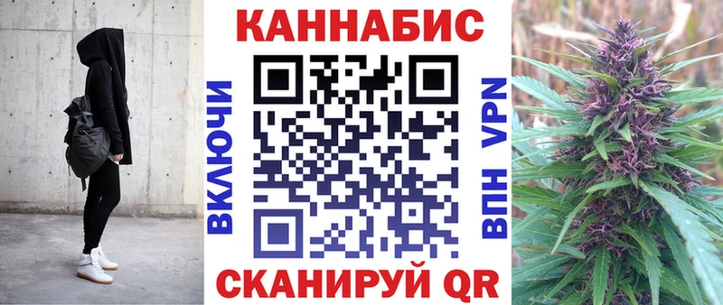 где найти   Новозыбков  Бошки марихуана White Widow 